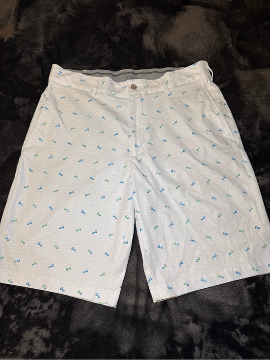 Walter Hagen Other - Walter Hagen White Golf Shorts with Blue & Green Mini golf carts size 34